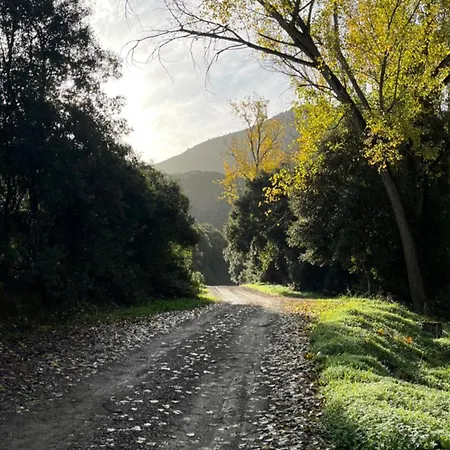 La Palmetta Villamassargia